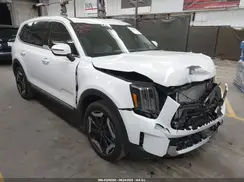 5XYP34GC0RG493571 2024 KIA TELLURIDE
