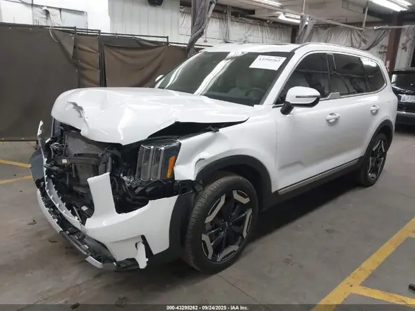 5XYP34GC0RG493571 2024 KIA TELLURIDE - Image 2