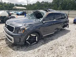5XYP34GC0RG525726 2024 KIA TELLURIDE