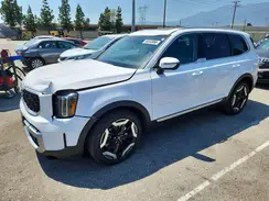 5XYP34GC0RG545412 2024 KIA TELLURIDE