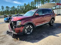 5XYP34GC1RG425960 2024 KIA TELLURIDE