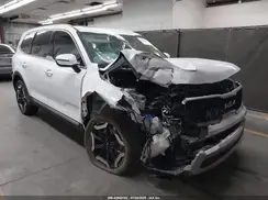 5XYP34GC1RG454245 2024 KIA TELLURIDE