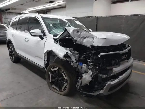 5XYP34GC1RG454245 2024 KIA TELLURIDE - Image 1