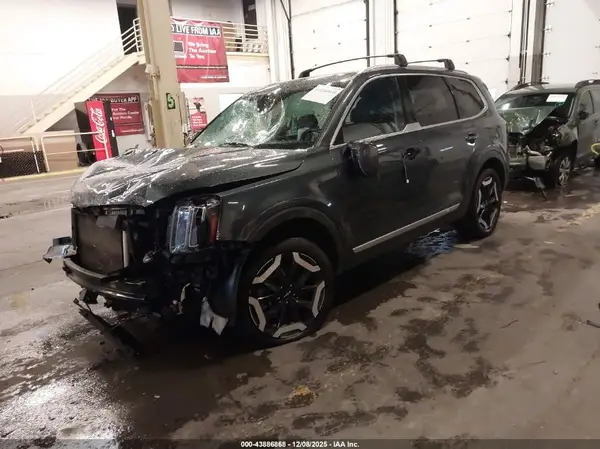 5XYP34GC1RG463527 2024 KIA TELLURIDE - Image 2