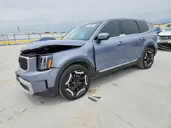 5XYP34GC1RG481364 2024 KIA TELLURIDE