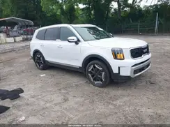 5XYP34GC1RG525931 2024 KIA TELLURIDE