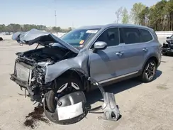 5XYP34GC1RG540087 2024 KIA TELLURIDE