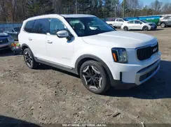 5XYP34GC2PG359724 2023 KIA TELLURIDE