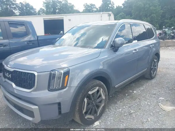5XYP34GC2RG411162 2024 KIA TELLURIDE - Image 2