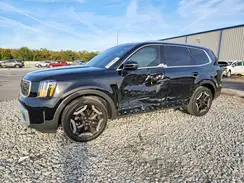 5XYP34GC2RG428950 2024 KIA TELLURIDE