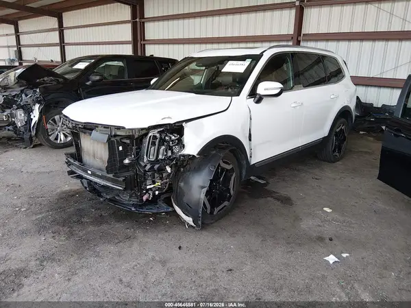 5XYP34GC2RG437275 2024 KIA TELLURIDE - Image 2