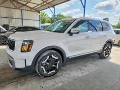5XYP34GC2RG446803 2024 KIA TELLURIDE