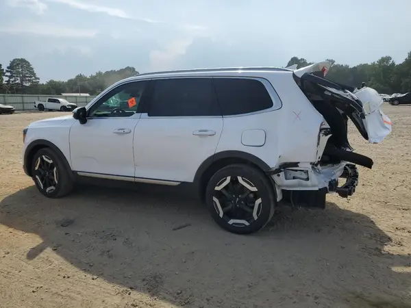5XYP34GC2RG492017 2024 KIA TELLURIDE - Image 2