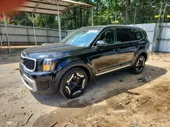 5XYP34GC2RG520947 2024 KIA TELLURIDE