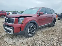5XYP34GC2RG559392 2024 KIA TELLURIDE