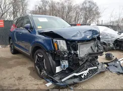 5XYP34GC2SG708261 2025 KIA TELLURIDE