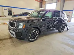5XYP34GC3PG348859 2023 KIA TELLURIDE