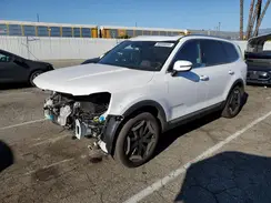 5XYP34GC3RG445689 2024 KIA TELLURIDE