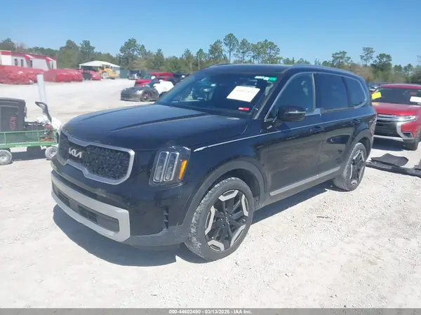 5XYP34GC3RG450195 2024 KIA TELLURIDE - Image 2
