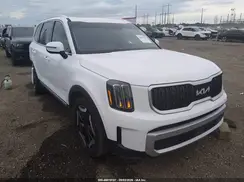 5XYP34GC3RG479499 2024 KIA TELLURIDE