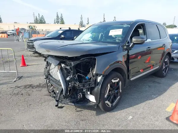 5XYP34GC3RG521217 2024 KIA TELLURIDE - Image 2