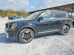 5XYP34GC3RG525283 2024 KIA TELLURIDE