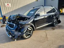 5XYP34GC3SG733184 2025 KIA TELLURIDE