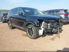 5XYP34GC4PG375732 2023 KIA TELLURIDE