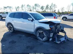 5XYP34GC4RG409168 2024 KIA TELLURIDE