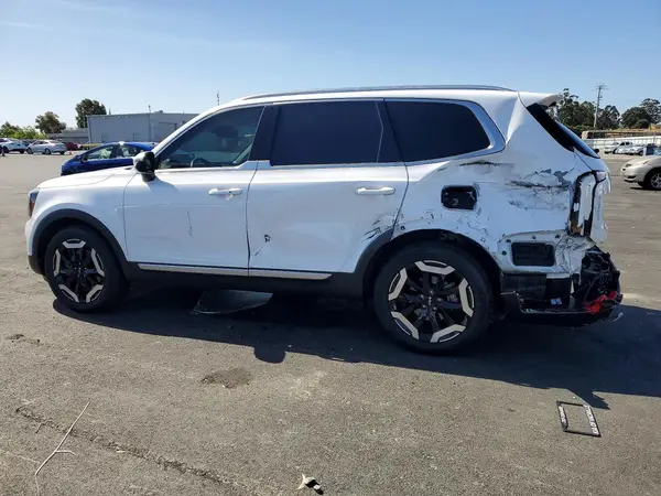 5XYP34GC4RG413432 2024 KIA TELLURIDE - Image 2