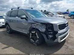 5XYP34GC4RG520030 2024 KIA TELLURIDE