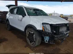 5XYP34GC4RG520271 2024 KIA TELLURIDE