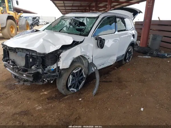 5XYP34GC4RG520271 2024 KIA TELLURIDE - Image 2