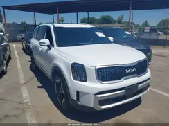 5XYP34GC4RG530797 2024 KIA TELLURIDE