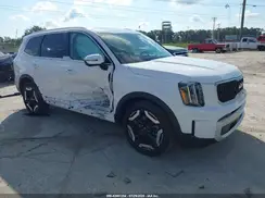 5XYP34GC4SG596109 2025 KIA TELLURIDE