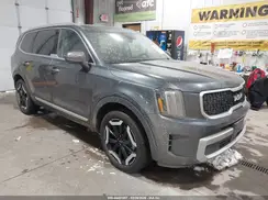 5XYP34GC5RG421880 2024 KIA TELLURIDE
