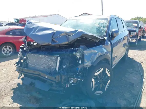 5XYP34GC5RG423208 2024 KIA TELLURIDE - Image 2