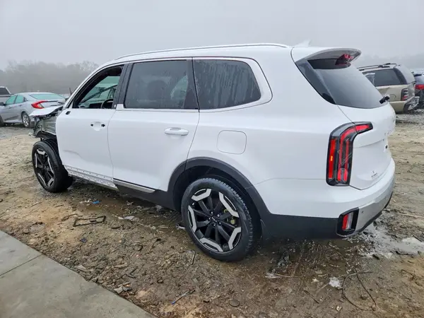 5XYP34GC5RG465636 2024 KIA TELLURIDE - Image 2