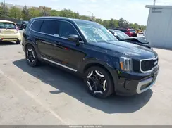 5XYP34GC5RG475518 2024 KIA TELLURIDE