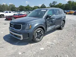 5XYP34GC5RG481867 2024 KIA TELLURIDE