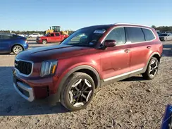 5XYP34GC5RG482310 2024 KIA TELLURIDE
