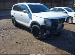 5XYP34GC5RG493548 2024 KIA TELLURIDE
