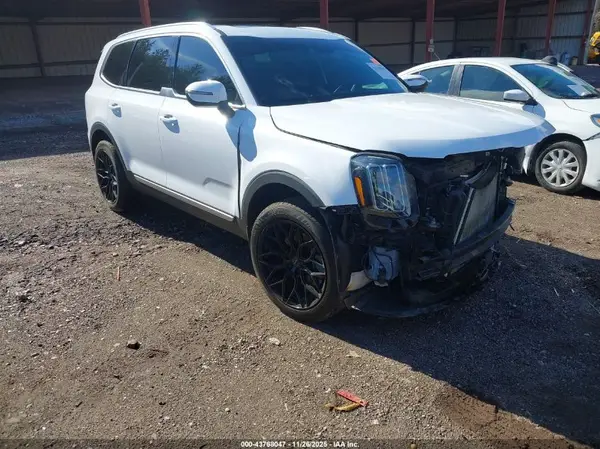5XYP34GC5RG493548 2024 KIA TELLURIDE - Image 1