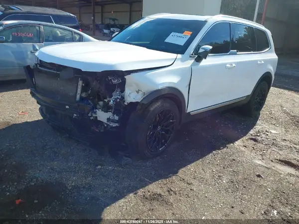 5XYP34GC5RG493548 2024 KIA TELLURIDE - Image 2