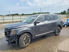 5XYP34GC5RG495526 2024 KIA TELLURIDE