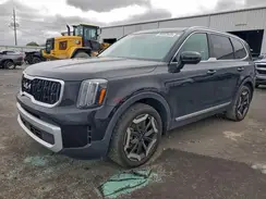 5XYP34GC5RG513040 2024 KIA TELLURIDE