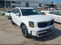 5XYP34GC5RG530985 2024 KIA TELLURIDE
