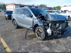 5XYP34GC5RG552775 2024 KIA TELLURIDE