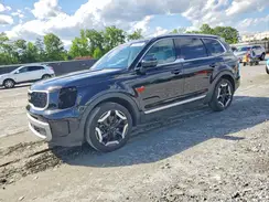 5XYP34GC6RG444388 2024 KIA TELLURIDE