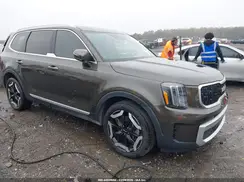 5XYP34GC6RG452247 2024 KIA TELLURIDE